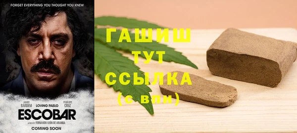 метадон Алексин