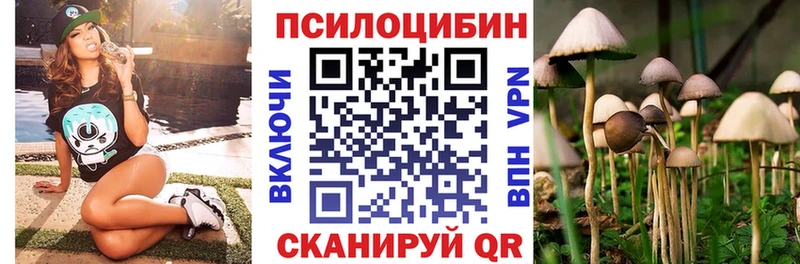 Псилоцибиновые грибы Psilocybine cubensis mega зеркало darknet состав Белоярский